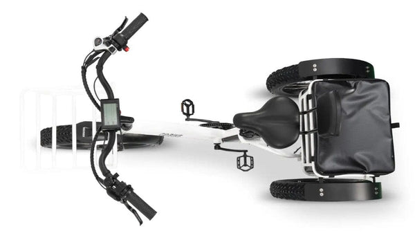 GoBike Forte Electric Tricycle