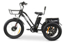 GoBike Forte Electric Tricycle