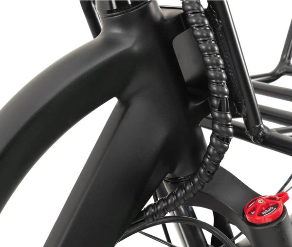 GoBike Forte Electric Tricycle