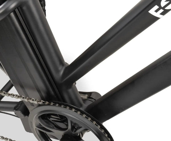 GoBike Forte Electric Tricycle