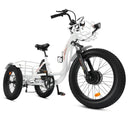 Ecotric Electric Tricycle with Front Basket + Rear Rack