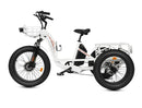 Ecotric Electric Tricycle with Front Basket + Rear Rack