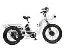 Ecotric Electric Tricycle with Front Basket + Rear Rack