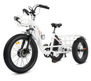 Ecotric Electric Tricycle with Front Basket + Rear Rack