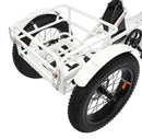 Ecotric Electric Tricycle with Front Basket + Rear Rack