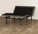 Rize Home Clarity II Adjustable Bed