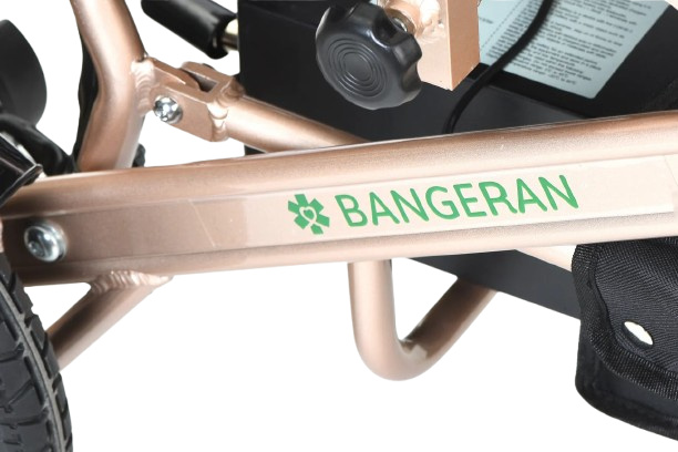 Bangeran Pegasus Cerebral Palsy Kids Electric Wheelchair