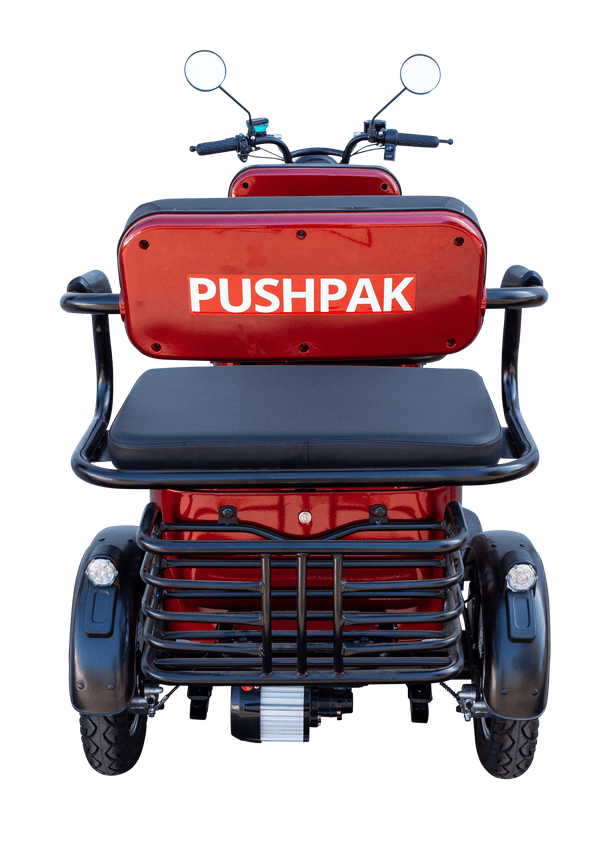 Pushpak Motors- Pushpak 4000 Two-Person Electric Scooter