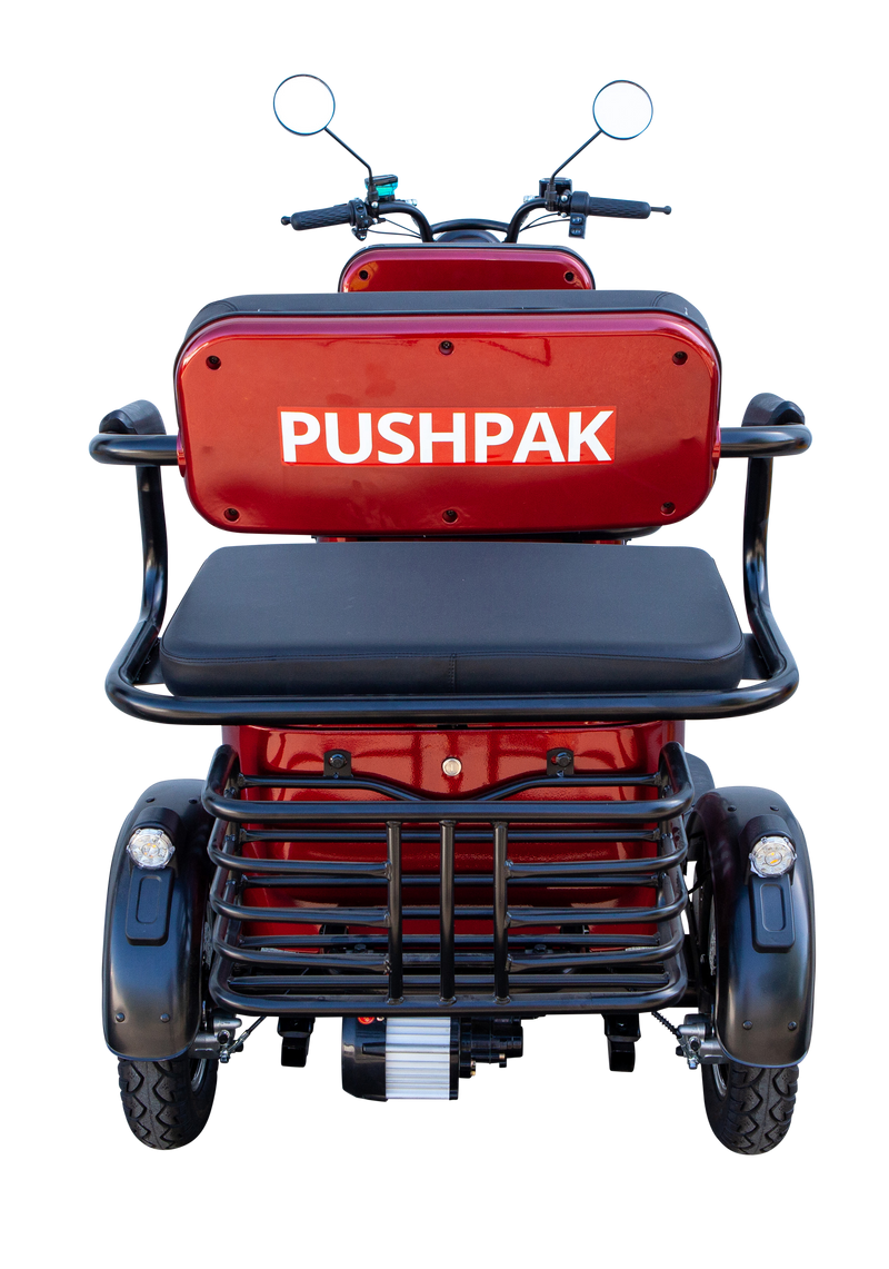 Pushpak Motors- Pushpak 4000 Two-Person Electric Scooter