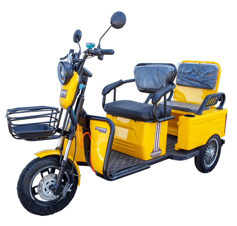 Pushpak Motors- Pushpak 3000 Two-Person Electric Scooter