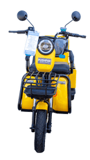 Pushpak Motors- Pushpak 3000 Two-Person Electric Scooter