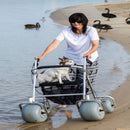 Woman Pushing The Wheeleez All-Terrain Beach Rollator Front View With Polyurethane Wheels, Foam Handles, And A Mesh Storage Compartment, Displayed On A Sandy Beach With A Dog On The Seat And Geese In The Background.