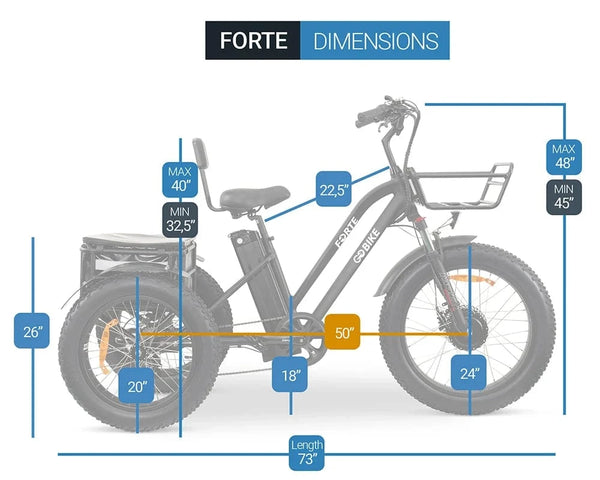 GoBike Forte Electric Tricycle