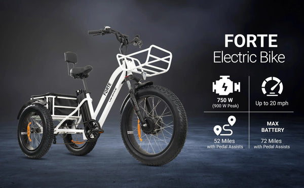 GoBike Forte Electric Tricycle