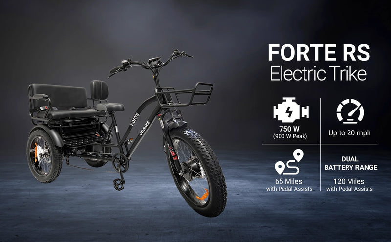 GoBike Forte Electric Tricycle With Rear Seat