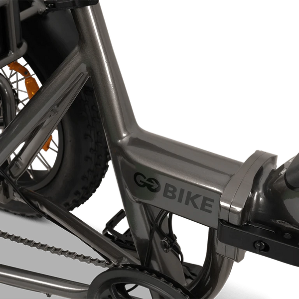 GoBike Forza Electric Tricycle With Storage