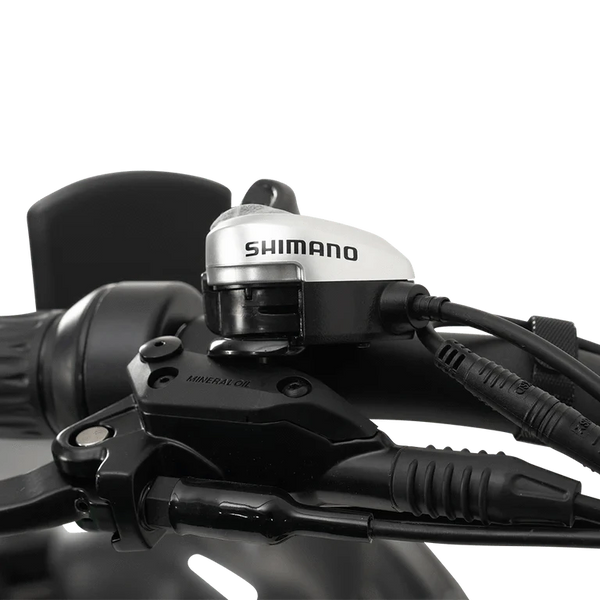 GoBike Forza Electric Tricycle With Storage