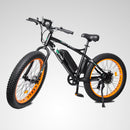 Ecotric Fat Tire Beach Snow Electric Bike D-FAT26S900USB
