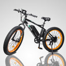 Ecotric Fat Tire Beach Snow Electric Bike D-FAT26S900USB