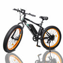 Ecotric Fat Tire Beach Snow Electric Bike D-FAT26S900USB