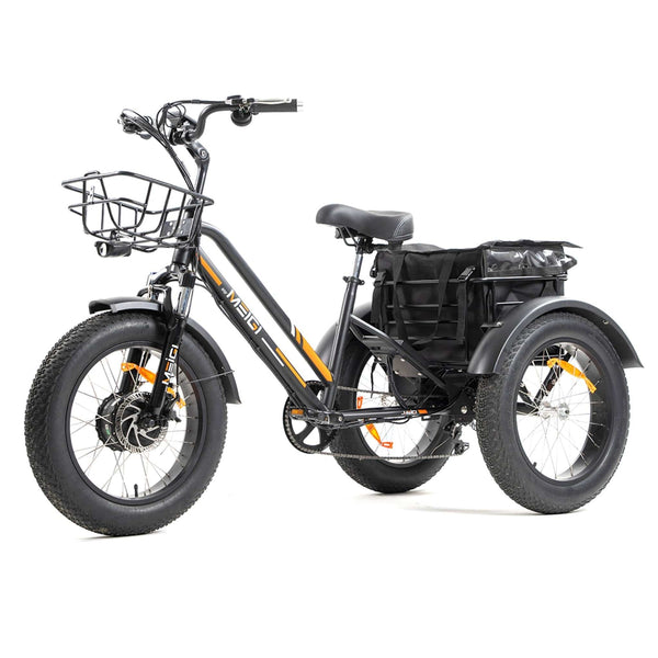 DWMEIGI Electric Fat Tricycle MG1703