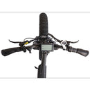 Ecotric Bison 48v 17.6AH 1000W Big Fat Tire Electric Bike