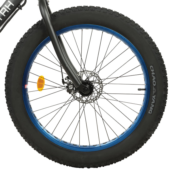 Ecotric Fat Tire Beach Snow Electric Bike D-FAT26S900USB