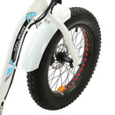 Ecotric Dolphin Portable and Folding Fat Bike UL Certified