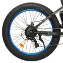 Ecotric Fat Tire Beach Snow Electric Bike D-FAT26S900USB