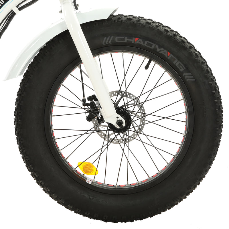 Ecotric Dolphin Portable and Folding Fat Bike UL Certified