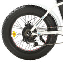 Ecotric Dolphin Portable and Folding Fat Bike UL Certified