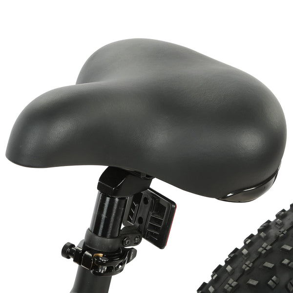 Ecotric Fat Tire Beach Snow Electric Bike D-FAT26S900USB