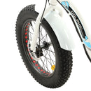 Ecotric Dolphin Portable and Folding Fat Bike UL Certified