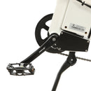 Ecotric Seagull Electric Mountain Bicycle