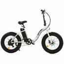 Ecotric Dolphin Portable and Folding Fat Bike UL Certified