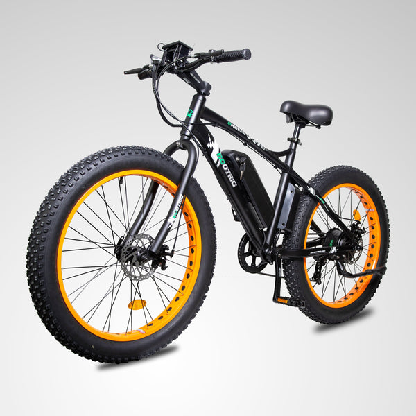 Ecotric Fat Tire Beach Snow Electric Bike D-FAT26S900USB