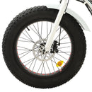 Ecotric Dolphin Portable and Folding Fat Bike UL Certified