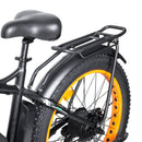 Ecotric Fat Tire Beach Snow Electric Bike D-FAT26S900USB