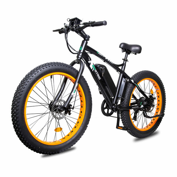 Ecotric Fat Tire Beach Snow Electric Bike D-FAT26S900USB