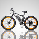 Ecotric Fat Tire Beach Snow Electric Bike D-FAT26S900USB