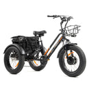 DWMEIGI Electric Fat Tricycle MG1703