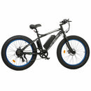 Ecotric Fat Tire Beach Snow Electric Bike D-FAT26S900USB