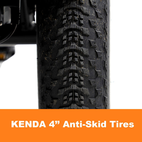 DWMEIGI Electric Fat Tricycle MG1703