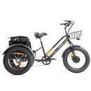 DWMEIGI Electric Fat Tricycle MG1703