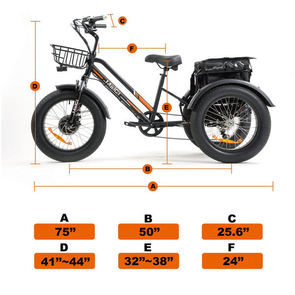 DWMEIGI Electric Fat Tricycle MG1703