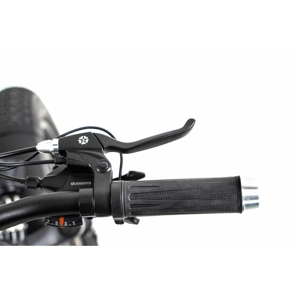 DWMEIGI Electric Fat Bike MG8710