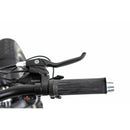 DWMEIGI Electric Fat Bike MG8710