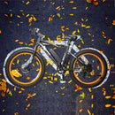 Ecotric Fat Tire Beach Snow Electric Bike D-FAT26S900USB