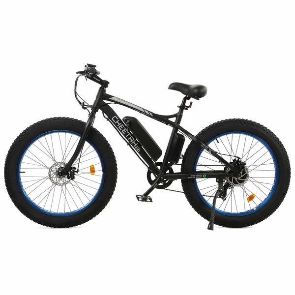Ecotric Fat Tire Beach Snow Electric Bike D-FAT26S900USB