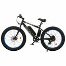 Ecotric Fat Tire Beach Snow Electric Bike D-FAT26S900USB
